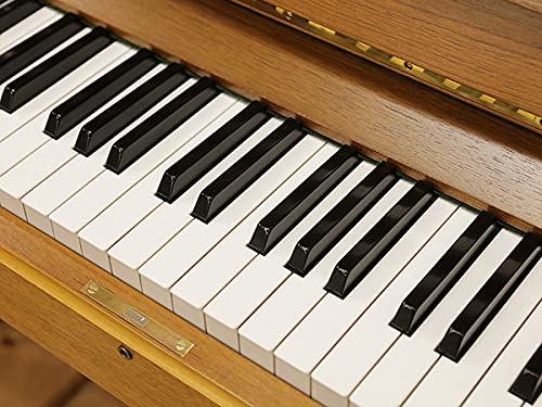 Amazon | STEINWAY＆SONS（スタインウェイ＆サンズ）V125 / 中古アップ