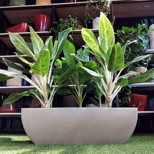 Vasart Malta Floreira, Granito Areia, 80x25cm