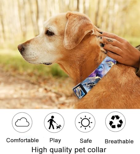 Collar para Perro Ajustable Talla M en Poliéster miniatura 5