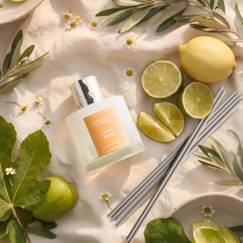 Image of Airkeep Reed Diffuser Set,3.38 fl oz (100 ml) - Citrus Breeze Oil Diffusers with 8 Reed Sticks, Home Fragrance Reed Diffuser for Bathroom Shelf Decor