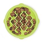 Cat Slow Feeders