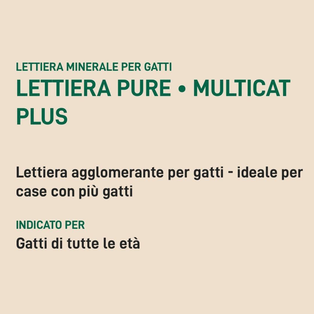 Arenero Oasy para gatos Multicat Pure, arena súper aglomerante para gatos de todas las edades y tamaños, perfumada | 1 paquete de 10 litros.