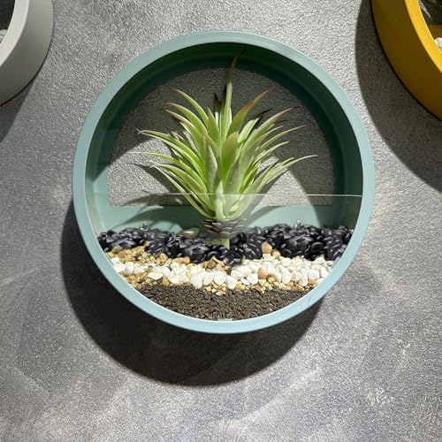 Image of Pulovin 2.5 lbs Black Pebbles for Indoor Plants, Succulent, Bamboo, Vase, 3 /8 inch Plant Rocks for Pots Indoor, Small River Rocks Decorative Pea Gravel, Highly Polished