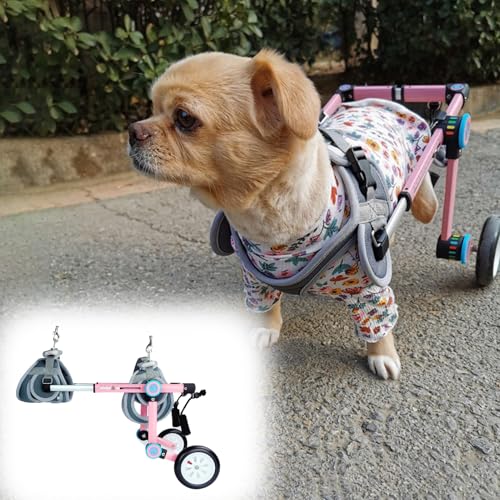 Chariot réglable pour chien handicapé à 2 roues pliables - 2