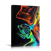 Canvas Wall Art Organic Arrangement Abstract Colorful Contemporary Hallway Mixed Media Multicolor Patterns - 12x18 inches