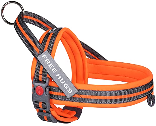 VIVAGLORY Dog Halter Harness of Sports Style, Safer & Comfortable Replacement for Collar, Easy Fit Service Dog Harness for Training & Walking, Fits Small Dogs, Orange-Grey