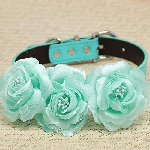 dog flower girl collar