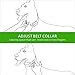 F-color Dog Training Collar with Remote - Waterproof Dog Shock Collar for Dogs with Anti-Lost Light Beep Vibration Shock (1-Pack PVC Collar in Pure Yellow+Black)