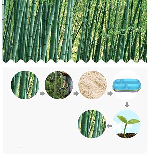Shopwithgreen Bamboo Divided Plates For Kids Adults - Dinnerware For Toddlers Kids Children Baby, Bpa Free, Stackable, Dishwasher Safe, 9.4 Inch, Set Of 4 #TOP4
