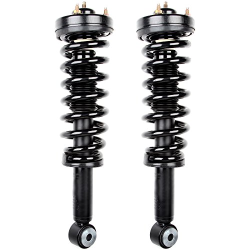 ECCPP Front Pair Complete Strut Assembly Shock Absorber for 2009-2013 for Ford for F-150 4x4 Models Only 171141 4WD set of 2