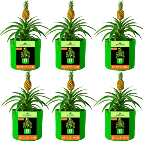Image of Kingwell grow bags 15x15 inch pack of 6 Grow Bag For Terrace Garden Leafy Vegetable Plant Grow Bags Fruits Growing Containers For terrace Gardening
