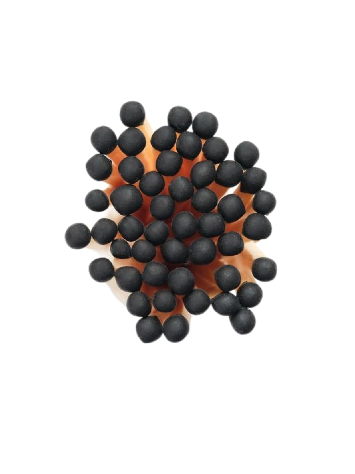 product_img5