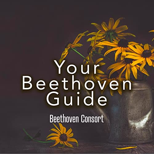 Beethoven Consort