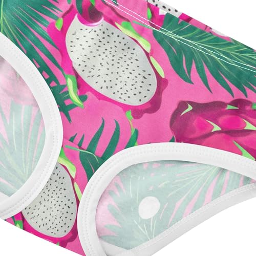 Tropical Dragon Fruit Pink Little Girl Panties Girls Underwear Toddler Cotton Print Underpants Briefs 2t4