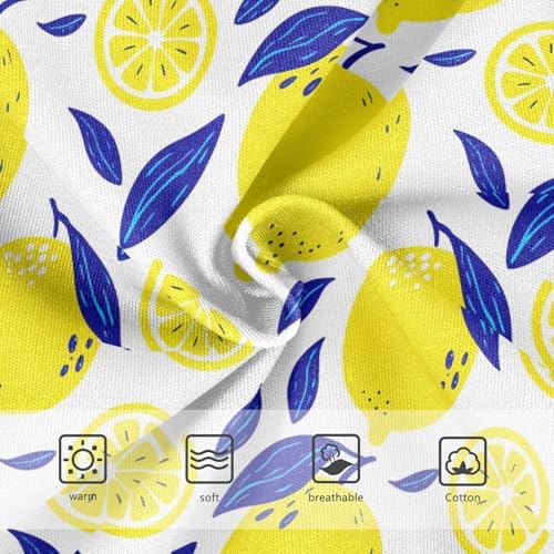 Summer Fruit Lemon Toddler Girls's Underwear 2T 23029173