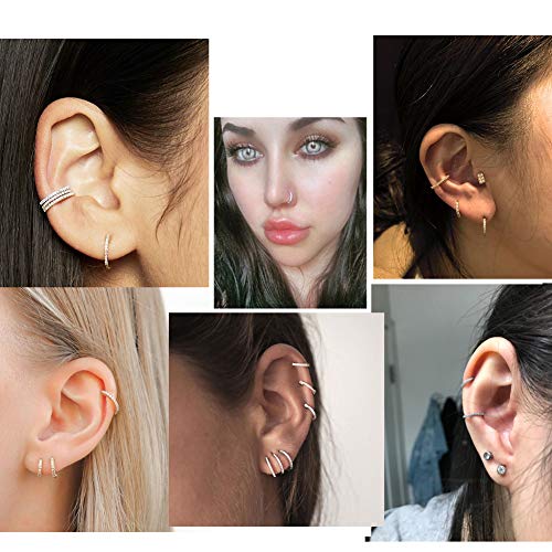 OUFER Gold Hinged Segment Earring Hoop 16G Stainless Steel with Cartilage Earrings Clear CZ Paved Tragus Helix Earrings Cartilage Earring Septum Nose Ring Hoop3