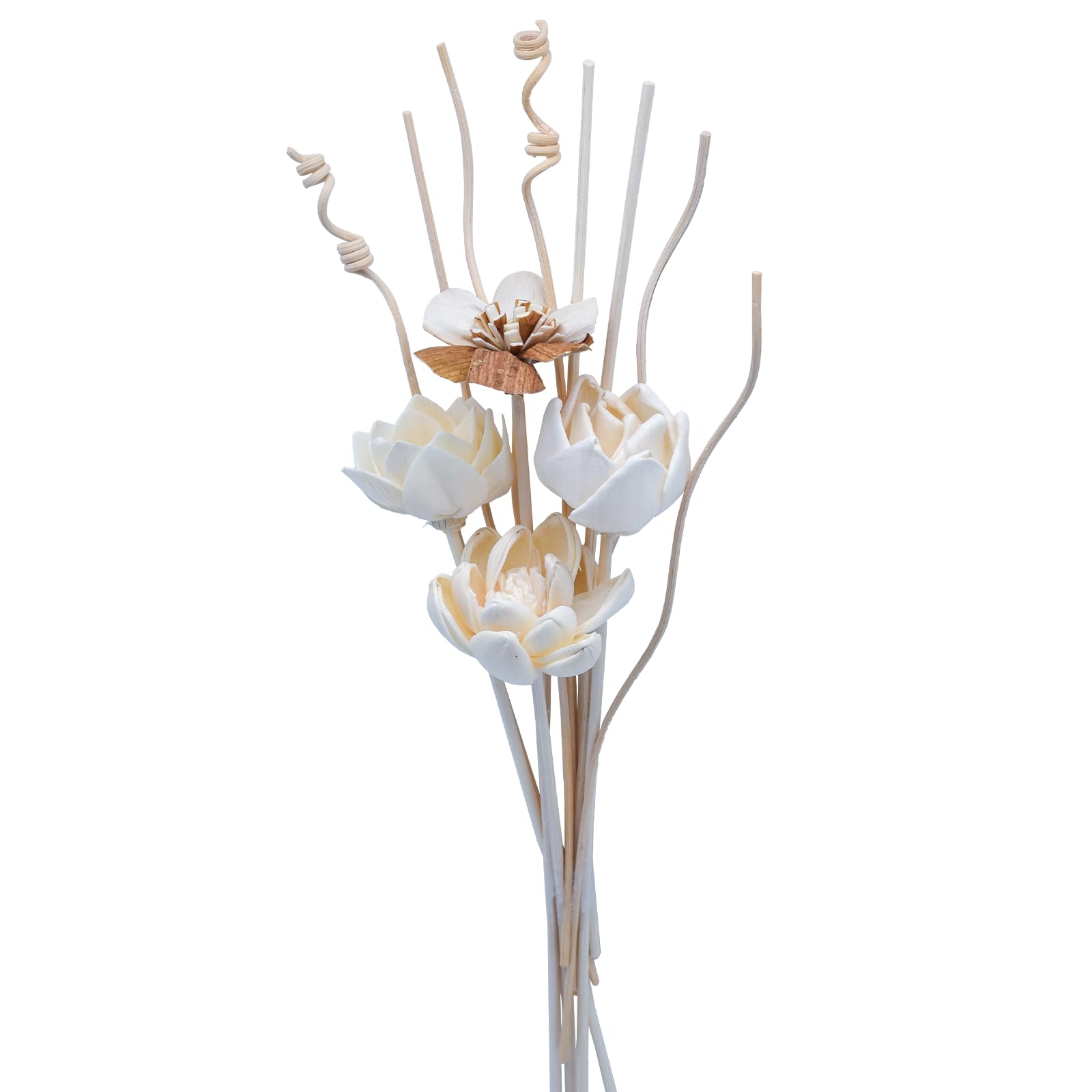 Oxmidud Flowers Reed Diffuser Sticks Set, Scent Diffuser Stick, Fake Dried Flowers Fragrance Oil Reed Diffuser Sticks for Bathroom Shelf, Office, Home Kitchen Decor (Bottle Not Included)