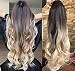 24 Inches Long Wavy Curly Clip in Ombre 3/4 Half Head Wig DL (Wavy-Darkest brown to blonde)