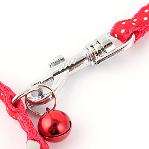 Ruilogod Puntos Imprimir Nylon PET PET Control de caminata ajustable Perrito Perro Correa Cuello Cuerda Rojo
