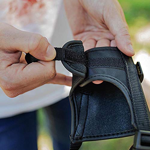 Ferplast-Muzzle-for-dogs-SAFE-MEDIUM-Anti-bite-Sturdy-nylon-Open-at-The-front-Soft-padding-Adjustable-with-Velcro-A-4680-cm-B-2025-cm-B-12-cm - Cucciolini Doodles Ferplast-Muzzle-for-dogs-SAFE-MEDIUM-Anti-bite-Sturdy-nylon-Open-at-The-front-Soft-padding-Adjustable-with-Velcro-A-4680-cm-B-2025-cm-B-12-cm