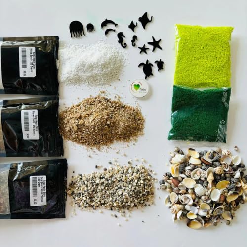 Tulsi Resin Store Ocean Beach Essential Kit | Natural Sand, Pebbles, Shells, Moss & Sea Creatures for Resin Art & DIY Crafts-image-41