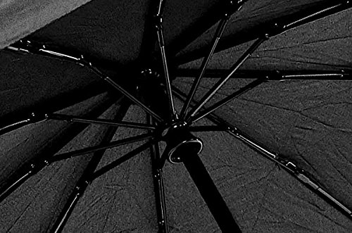 Zooblu WindFarer - Heavy Duty Windproof Travel Umbrella with Case - Auto Open and Close - Image 5