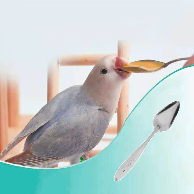 Amazon | オウムのスプーン 鳥用スプーン インコ スプーン 給餌