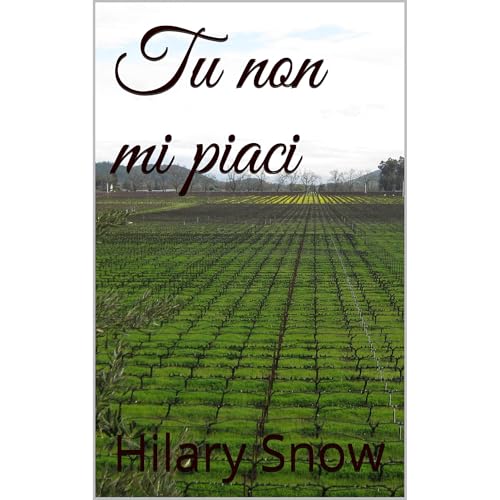 Tu non mi piaci Audiolibro Por Hilary Snow arte de portada