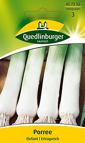Preisvergleich Produktbild Lauchsamen - Porree Elefant von Quedlinburger Saatgut