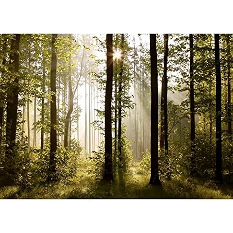 Runa Art Forest Landscape Photomural Cover