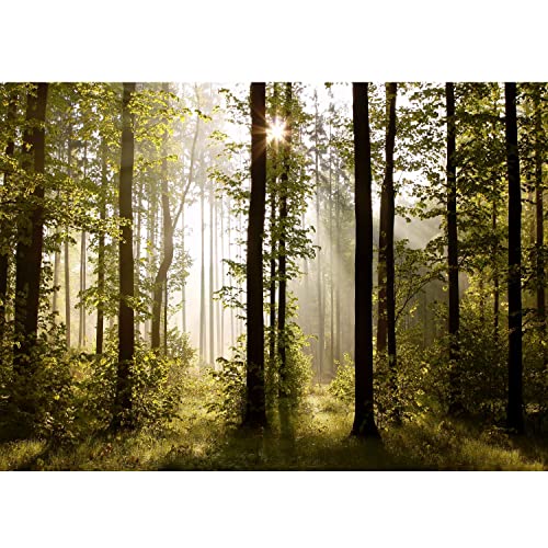 Papel tapiz fotográfico 396 x 280 cm Paisaje Forestal Sun | Lana Decoración De Pared Sala Cuarto | Fabricación alemana | verde marrón 9010012a