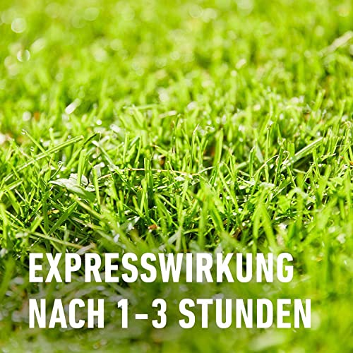 Vorox Weed Control Express, Weed Killer for Ornamental Plants, Fruit