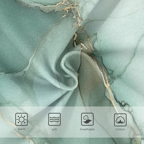 Cotton Briefs Panties Comfort Underwear for Baby Girls in Sizes 2T,3T, 4T, 5T, 6Y and 8Y3