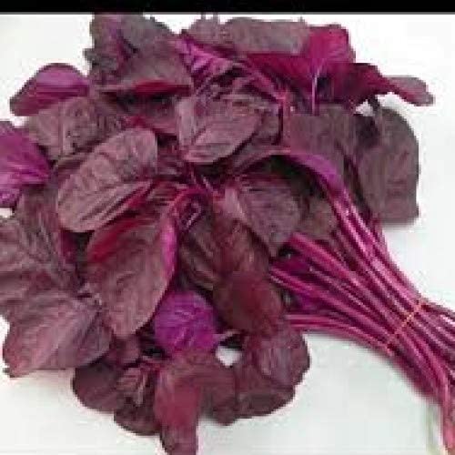 FarmCrane Red Spinach seeds, Thandan Keerai - 500 seeds (B08PJ79WMF) Amazon Price History, Amazon Price Tracker