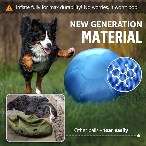 GILYX Herding Ball for Dogs Horses 25" - Large Ball for Dogs Australian Shepherd Chewers - Collieball Herding Toy - Teal - Image 2