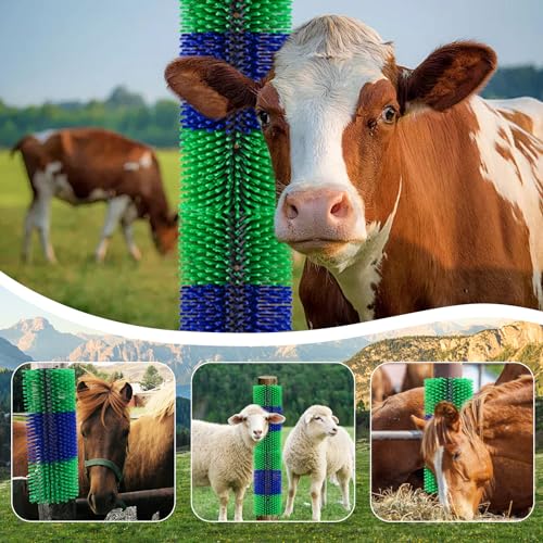 Horse Brush, TwoWin Livestock Scratch Brushes, Cattle Scratcher Brush, Full Massage Grooming Brush, Emotionally Soothing, Relieve Itching on Back of Livestock Brushes for Horse, Cow, Sheep, Pig - Image 3