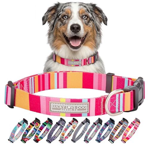 Lucky-Love-Dog-Adjustable-Dog-Collar-with-Easy-Click-Buckle-for-Medium-Durable-Comfortable-for-Male-Female-Dogs-Pet-Collar-for-Puppies-Adult-Dogs-Molly-Medium Lucky Love Dog - Adjustable Dog Collar with Easy Click Buckle for Medium, Durable, & Comfortable for Male & Female Dogs, Pet Collar for Puppies & Adult Dogs - Molly, Medium - Image 1