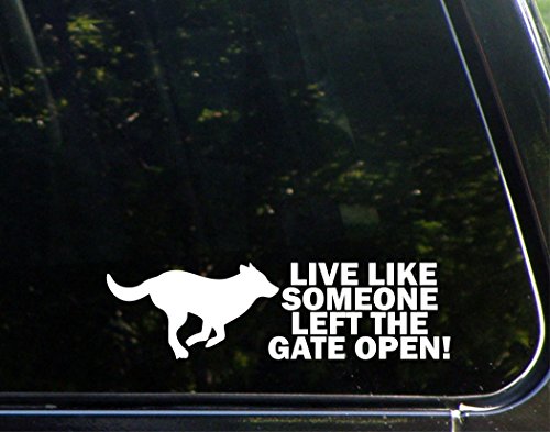 Sweet Tea Decals Live Like Someone Left The Gate Open! - 8 3/4' x 2 1/2'- Vinyl Die Cut Decal/Bumper Sticker for Windows, Trucks, Cars, Laptops, Glasses. Mugs, Etc.