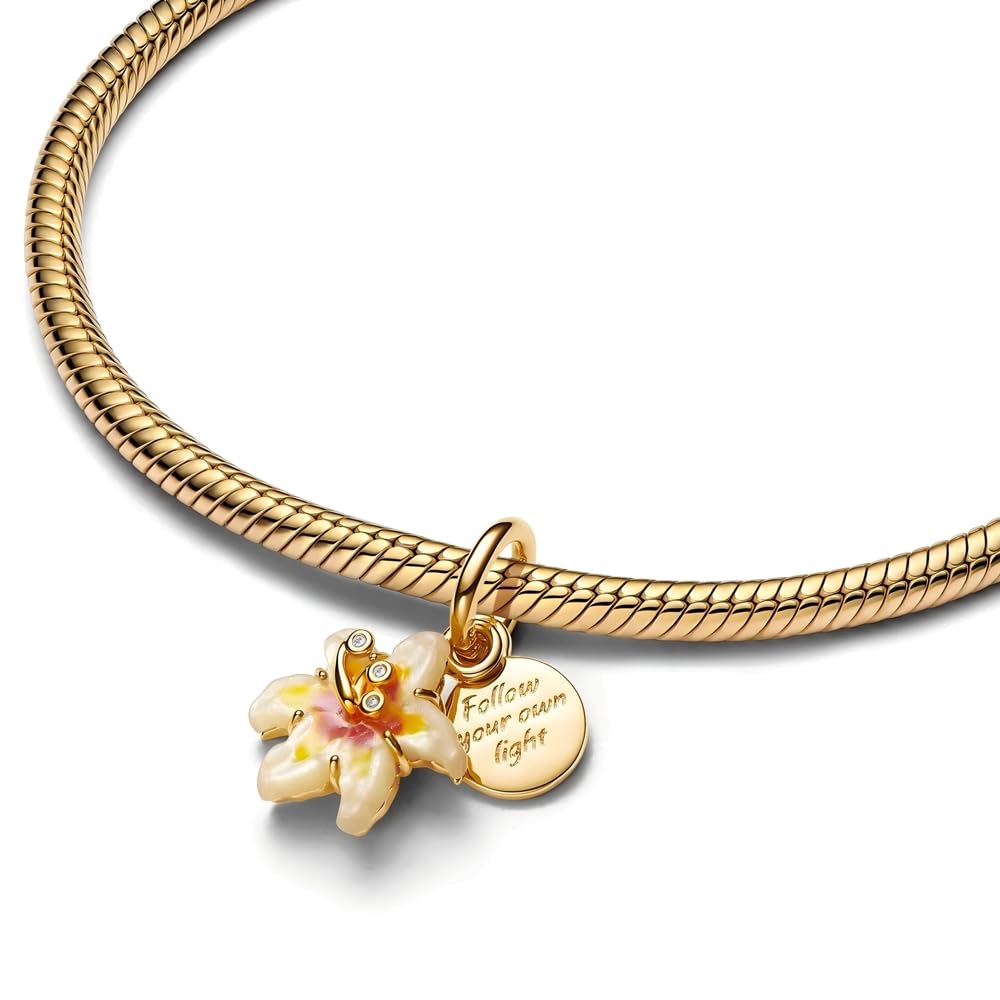 925 Sterling Silver Charms Fit Women Bracelet And Necklaces Bead Charm Pendant Jewelry Gifts For Family Friends