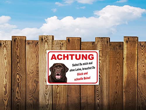AdriLeo Schild - Vorsicht brauner Labrador Retriever - Ohne Leine - (15x20cm) / Achtung Hund Wachhund robust langlebig UV-beständig wetterfestes Warnschild