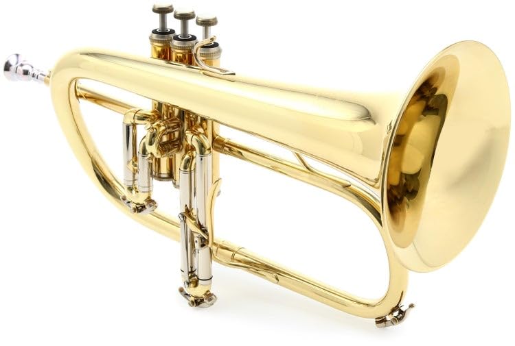 Amazon.com: B&S 3145 Challenger I Intermediate Bb Flugelhorn