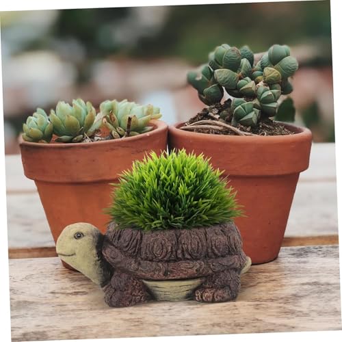 Image of Cute Turtle Shaped Succulent Flower Pot | Handcrafted Resin Turtle Planter | Decorative Animal Design Mini Plant Pot for Desk, Balcony, Home, and Office Decoration