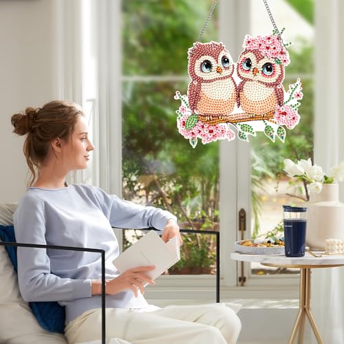 Image of AiYuanzsh Owl Couple Diamond Art Hanging Ornament, 5D DIY Special Shape Diamond Painting Suncatcher Kit for Adults, Handmade Mosaic by Number Pendant Gift for Valentine's Day