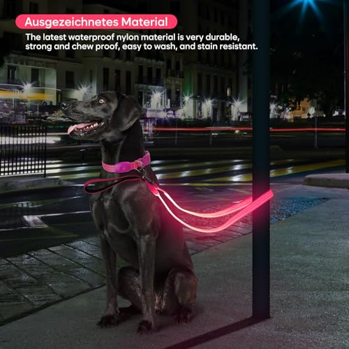 ChalkLit LED Hundeleine, Beleuchtete Hundeleine über USB Wiederaufladbar, 1,2 m, Weich Wasserdicht Reflektierend, für nächtliche Spaziergänge für große, mittelgroße Haustiere blinkende