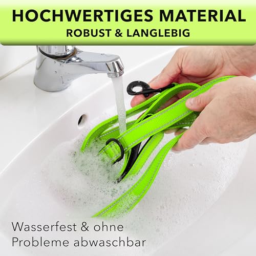 AVANA Hundeleine mit integriertem Kurzführer reflektierende Leine | 2 handschonende gepolsterte Handschlaufen | 1,5 Meter Führleine für große und mittelgroße Hunde - Neongrün
