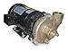 Dayton Bronze/Brass 3 HP Centrifugal Pump 208-230/460V, 2ZWT7