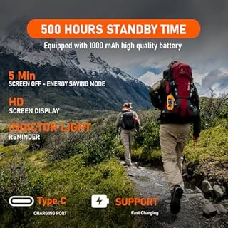 LSENLTY Tragbare CO-Detektoren unterstützen 500 Stunden Standby-Zeit, 3-in-1-CO-Detektor (Temperatur, Luftfeuchtigkeit und CO), Alarmfunktion und Lanyard-Design für Camping, Reisen, Autos, Orange