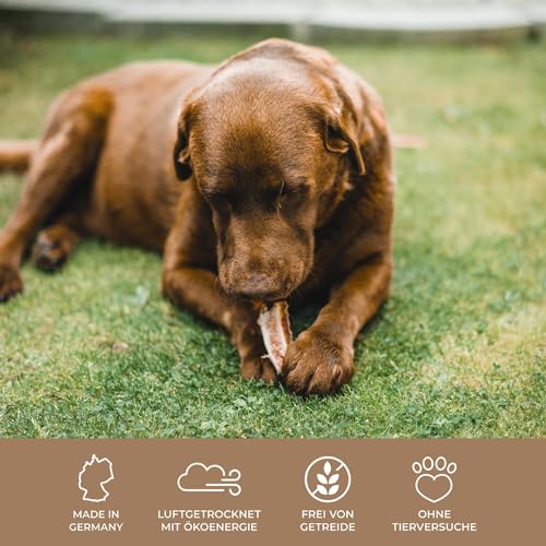Sprotten 1000g groß | Der Premium Kausnack für Hunde von PrideDogs | 100% Deutsche Herstellung | geruchsneutraler Beutel