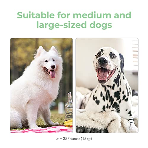 [3 Interactive Modes] Cheerble Intelligent Interactive Dog Toy Ball With Led Lights, Wicked Ball Pe, Made Of Natural Rubber, Jumping Activation Ball For Medium/Large Dog Birthday Gift, Dc Rechargeable #TOP5