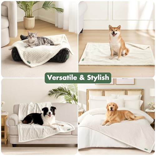 FWERDG Waterproof Dog Blanket for Couch - Washable Medium Pet Blanket for Furniture Protector, Cozy Fleece Calming Dog Crate Blankets for Indoors & Outdoors, Cream, 40"x50" by FWERDG - Used condition - Image 5